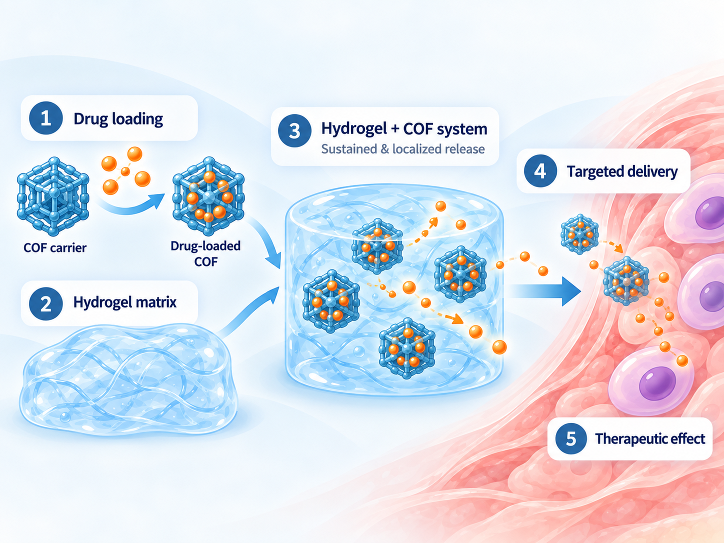 Hydrogel and COF drug delivery system