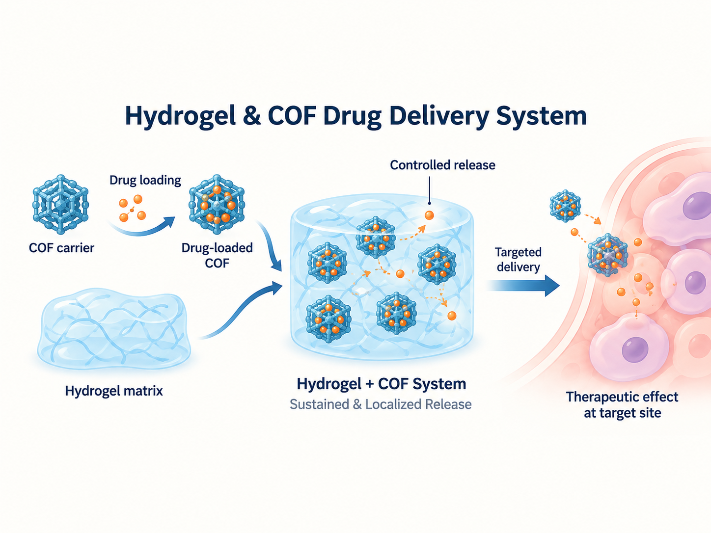 Hydrogel and COF drug delivery system